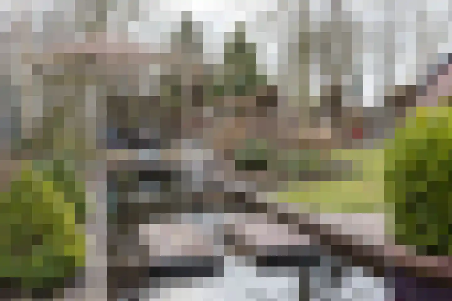Mijzijde 84 Kamerik thumbnail 34
