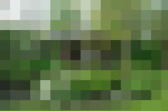 Mijzijde 84 Kamerik thumbnail 35