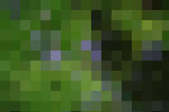 Mijzijde 84 Kamerik thumbnail 36