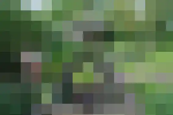 Mijzijde 84 Kamerik thumbnail 37