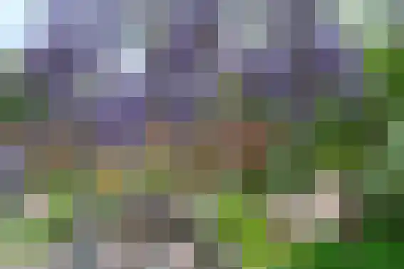 Mijzijde 84 Kamerik thumbnail 38