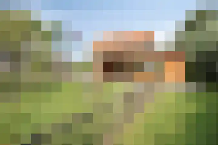 Mijzijde 92 Kamerik foto 2