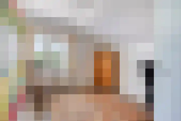 Mijzijde 92 Kamerik thumbnail 21