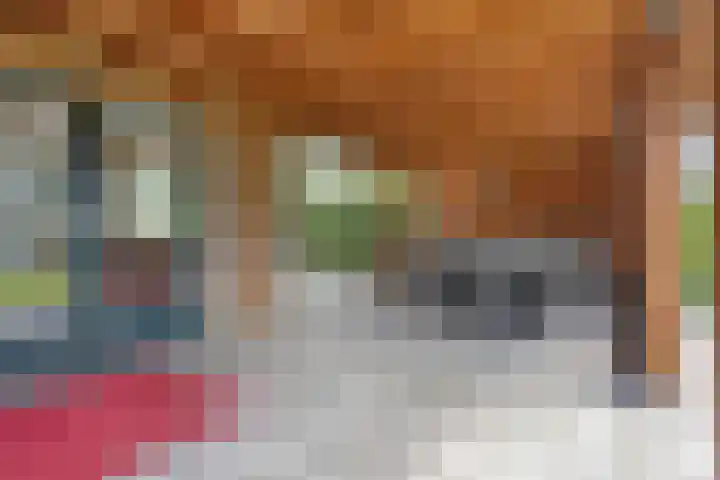 Mijzijde 92 Kamerik thumbnail 26