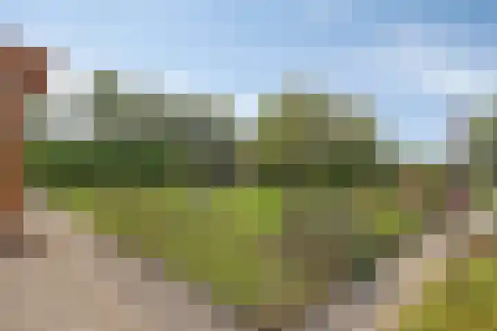 Mijzijde 92 Kamerik thumbnail 29