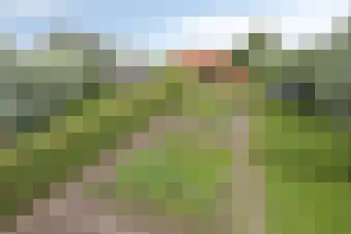 Mijzijde 92 Kamerik foto 3