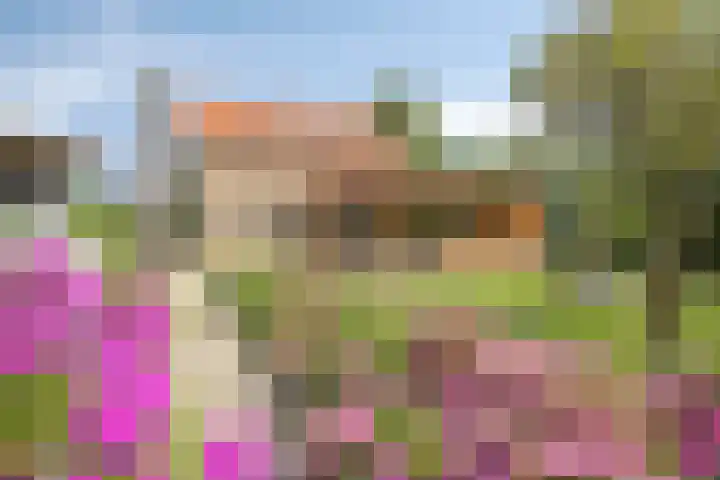 Mijzijde 92 Kamerik thumbnail 30
