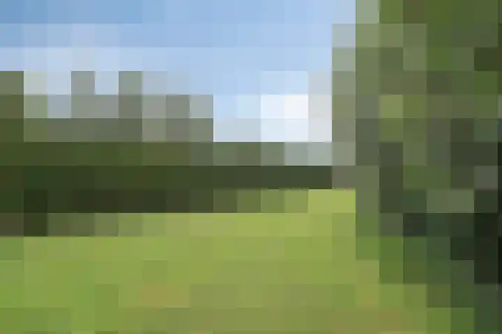 Mijzijde 92 Kamerik thumbnail 31