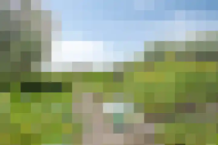 Mijzijde 92 Kamerik thumbnail 32