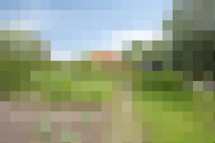 Mijzijde 92 Kamerik thumbnail 33
