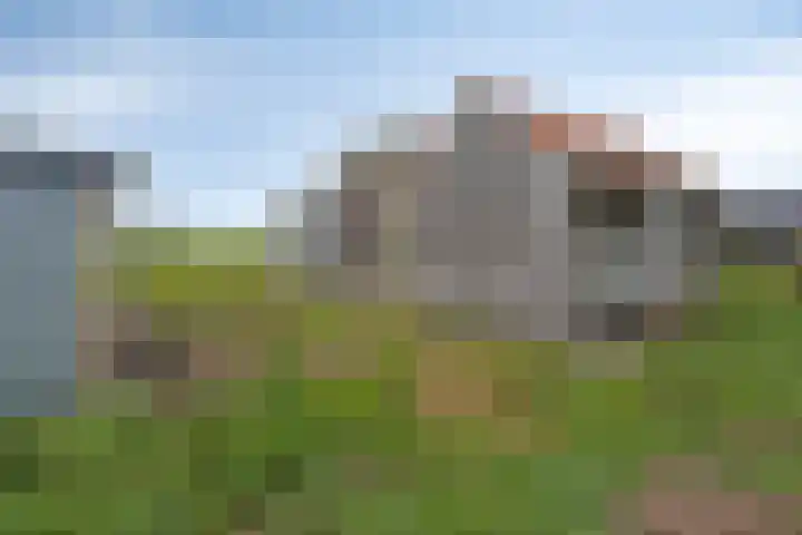 Mijzijde 92 Kamerik thumbnail 34