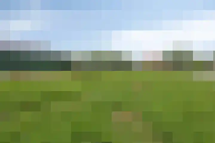 Mijzijde 92 Kamerik thumbnail 35