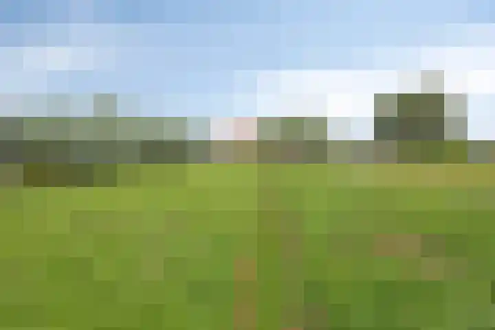 Mijzijde 92 Kamerik thumbnail 36