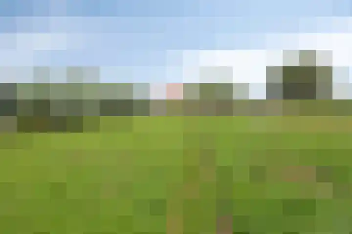 Mijzijde 92 Kamerik thumbnail 37