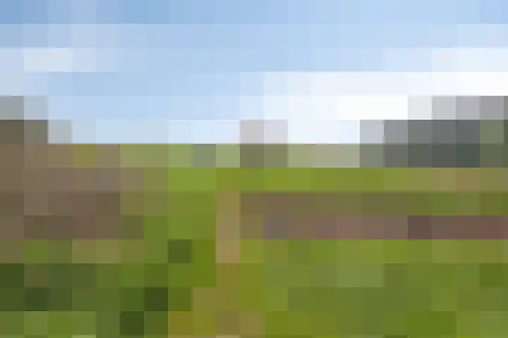 Mijzijde 92 Kamerik thumbnail 38