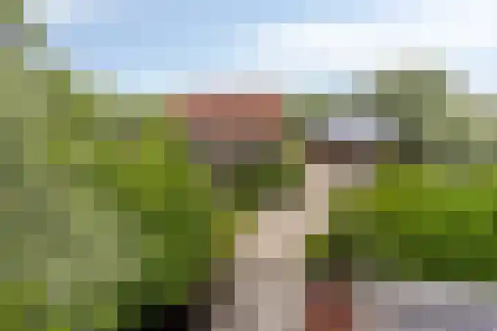 Mijzijde 92 Kamerik thumbnail 39