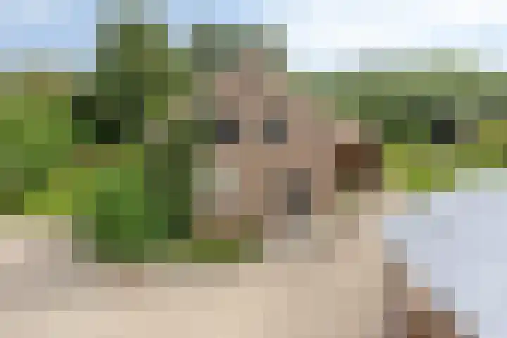 Mijzijde 92 Kamerik thumbnail 41