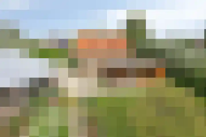 Mijzijde 92 Kamerik thumbnail 42