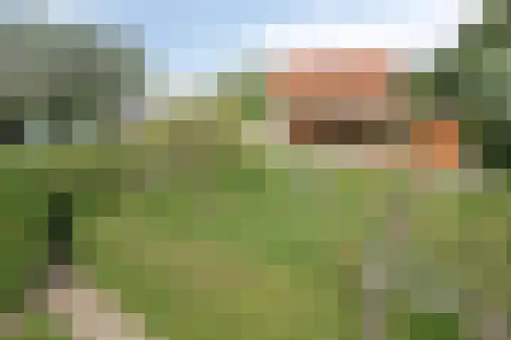 Mijzijde 92 Kamerik thumbnail 43