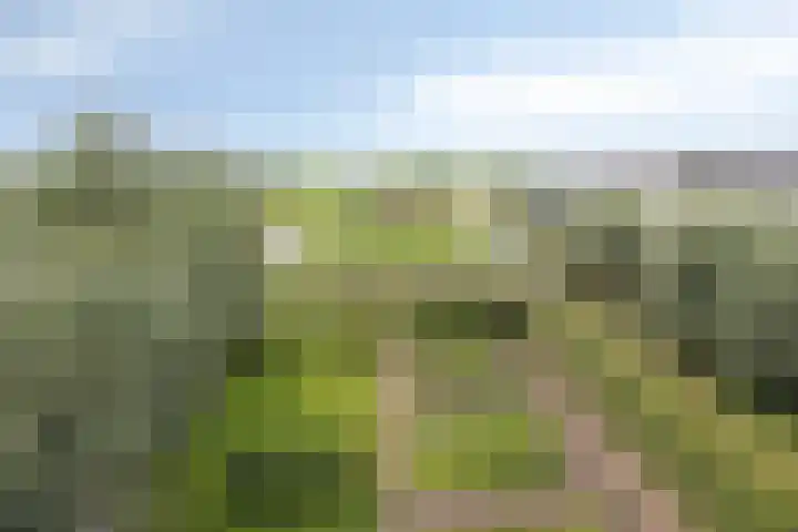 Mijzijde 92 Kamerik thumbnail 44