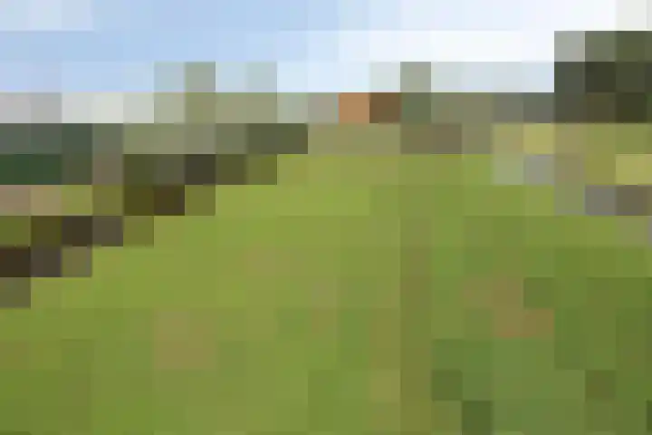 Mijzijde 92 Kamerik thumbnail 46