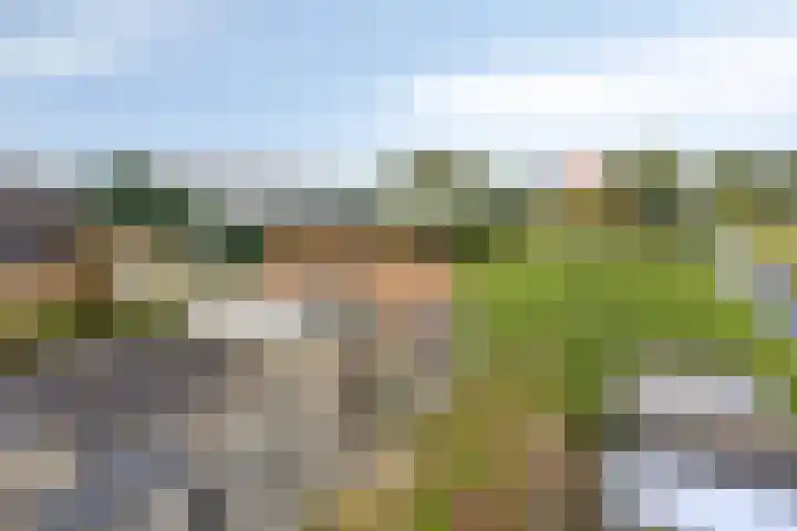 Mijzijde 92 Kamerik thumbnail 47