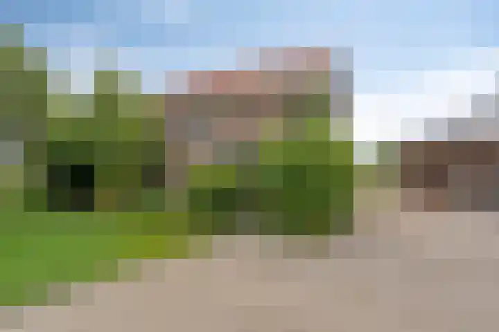 Mijzijde 92 Kamerik thumbnail 49