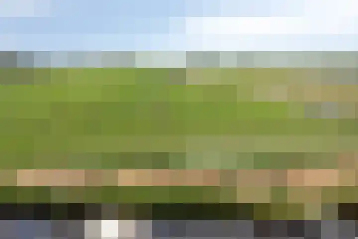 Mijzijde 92 Kamerik thumbnail 53