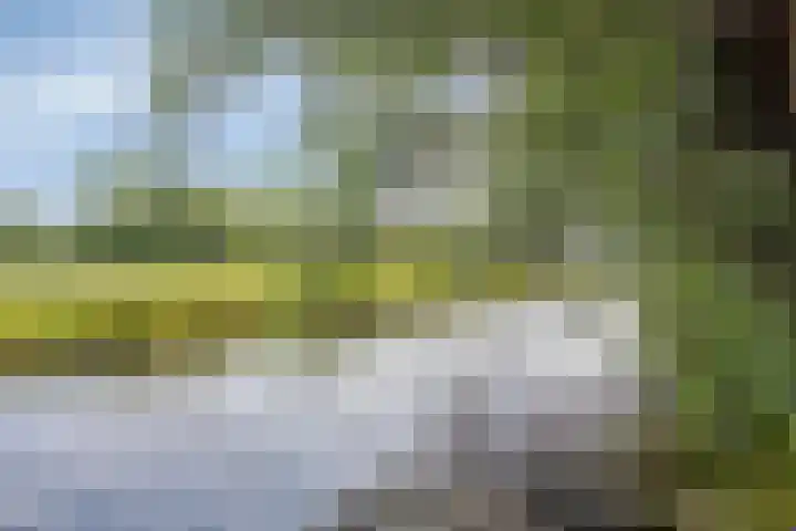 Mijzijde 92 Kamerik thumbnail 56