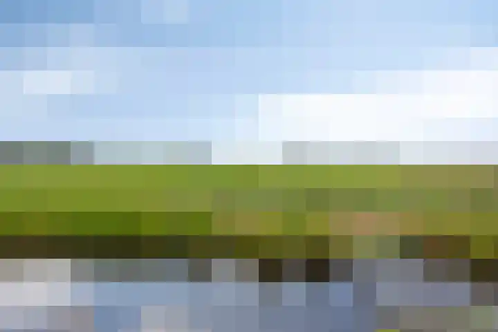 Mijzijde 92 Kamerik thumbnail 57