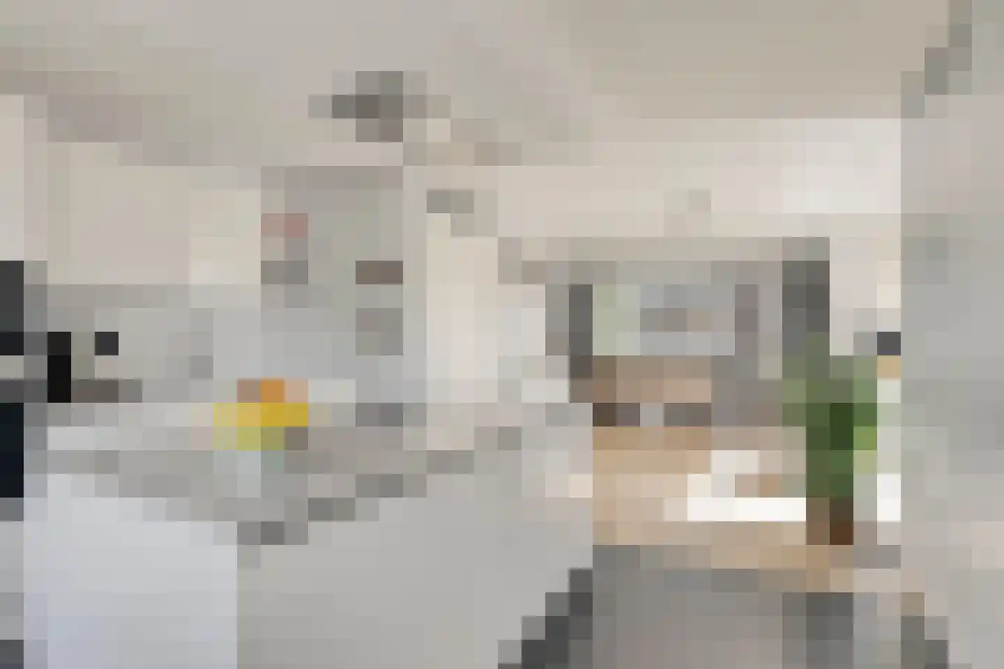 Mikadostraat 3 Purmerend thumbnail 15