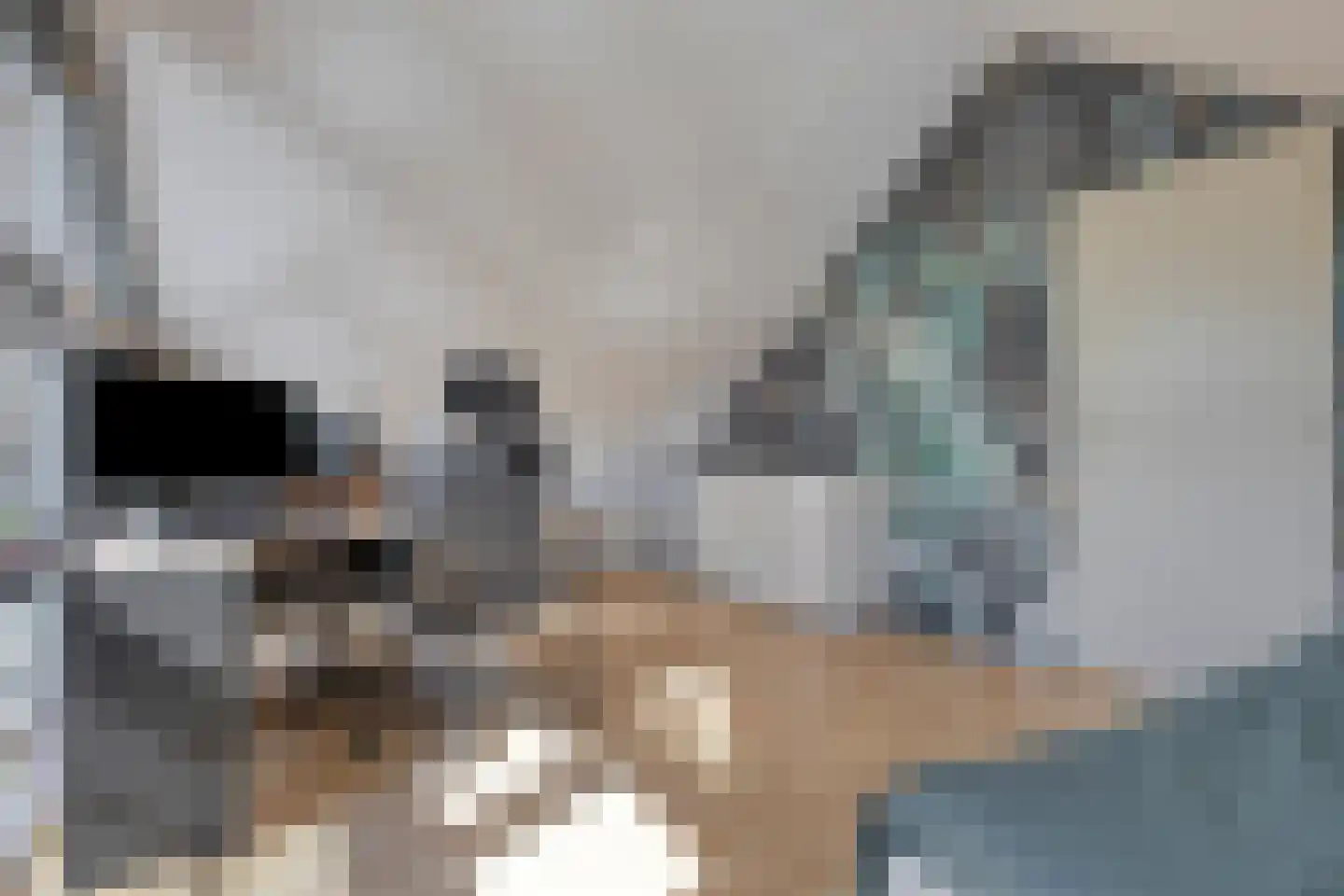 Mikadostraat 3 Purmerend thumbnail 22