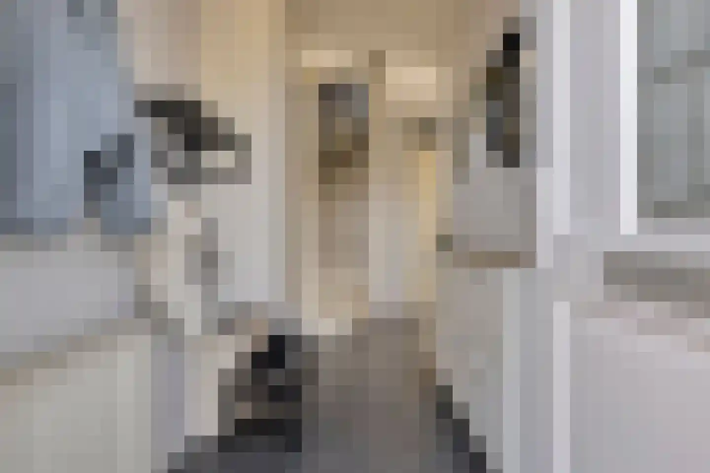 Mikadostraat 3 Purmerend thumbnail 6