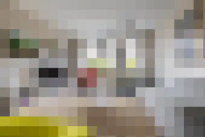 Mikkenkamp 8 Haren Gn thumbnail 11
