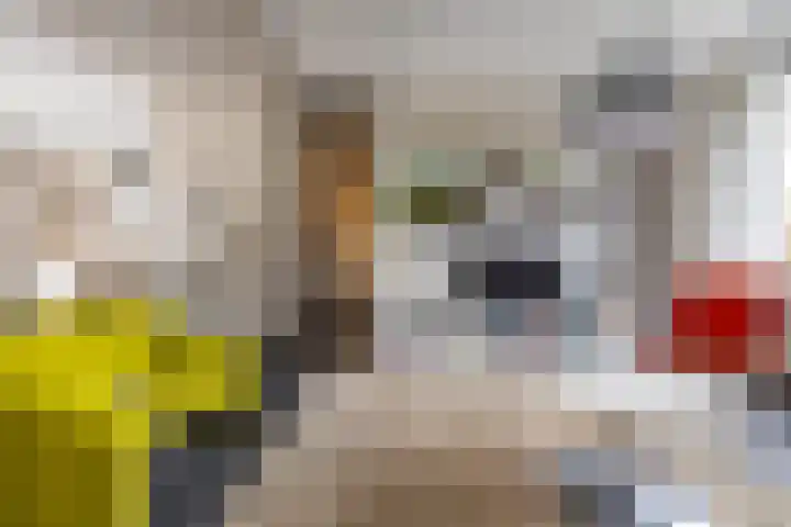 Mikkenkamp 8 Haren Gn thumbnail 12