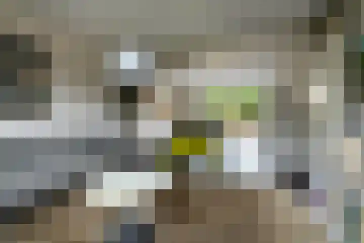 Mikkenkamp 8 Haren Gn thumbnail 14
