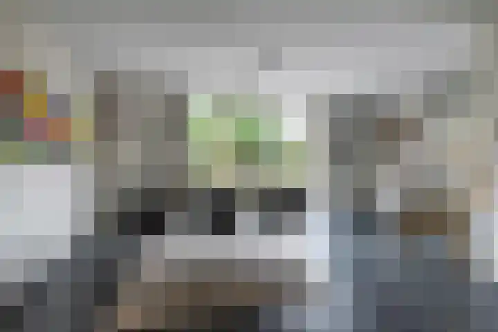 Mikkenkamp 8 Haren Gn thumbnail 15