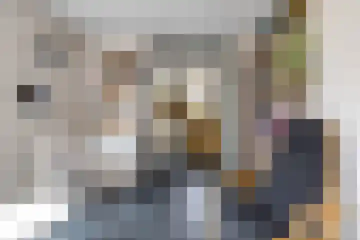 Mikkenkamp 8 Haren Gn thumbnail 17