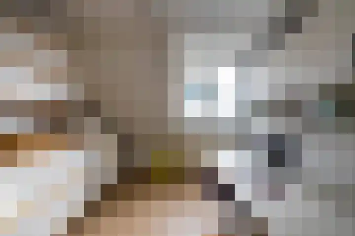 Mikkenkamp 8 Haren Gn thumbnail 27
