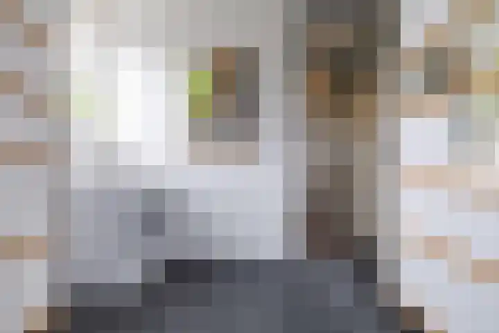 Mikkenkamp 8 Haren Gn thumbnail 30