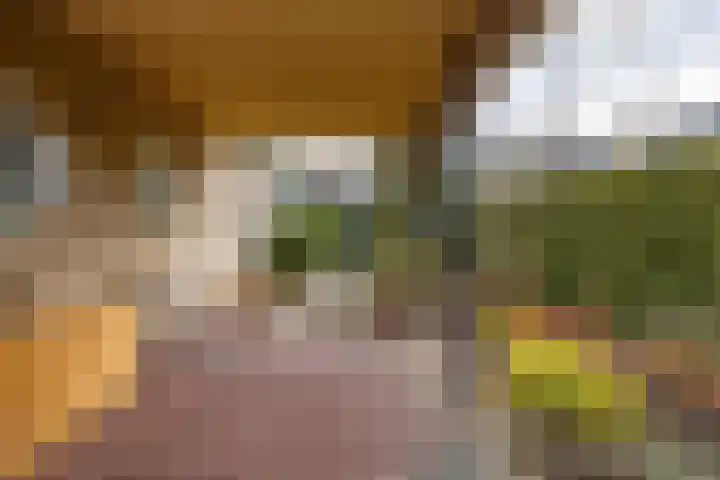 Mikkenkamp 8 Haren Gn thumbnail 42