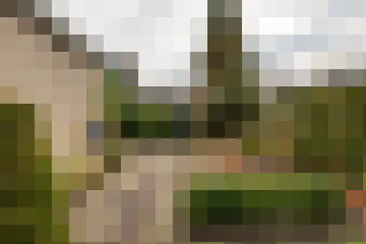 Mikkenkamp 8 Haren Gn thumbnail 44
