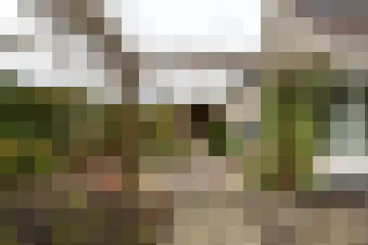 Mikkenkamp 8 Haren Gn thumbnail 45