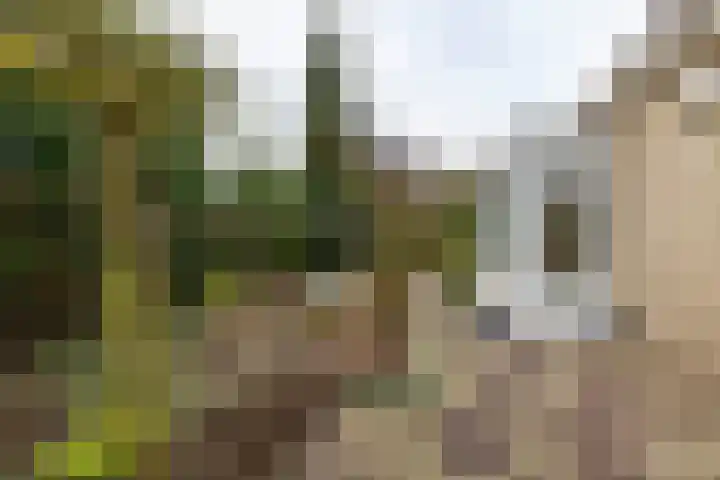 Mikkenkamp 8 Haren Gn thumbnail 47