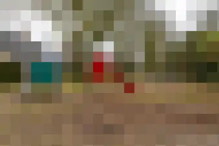 Mikkenkamp 8 Haren Gn thumbnail 51