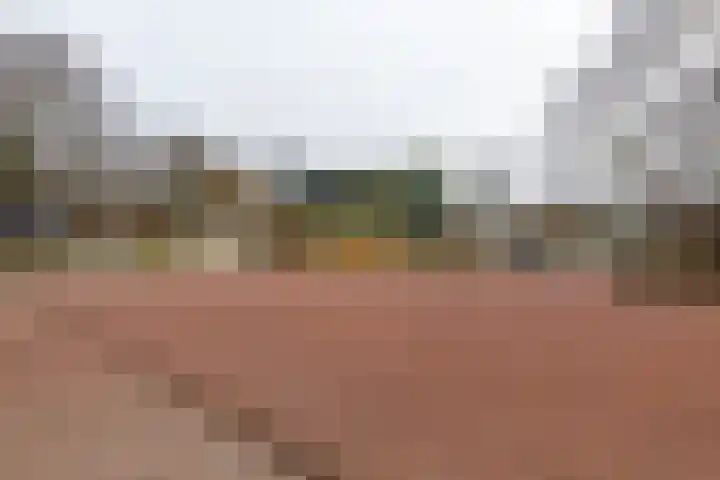 Mikkenkamp 8 Haren Gn thumbnail 52