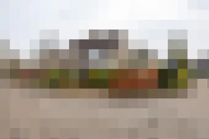 Mikkenkamp 8 Haren Gn thumbnail 55