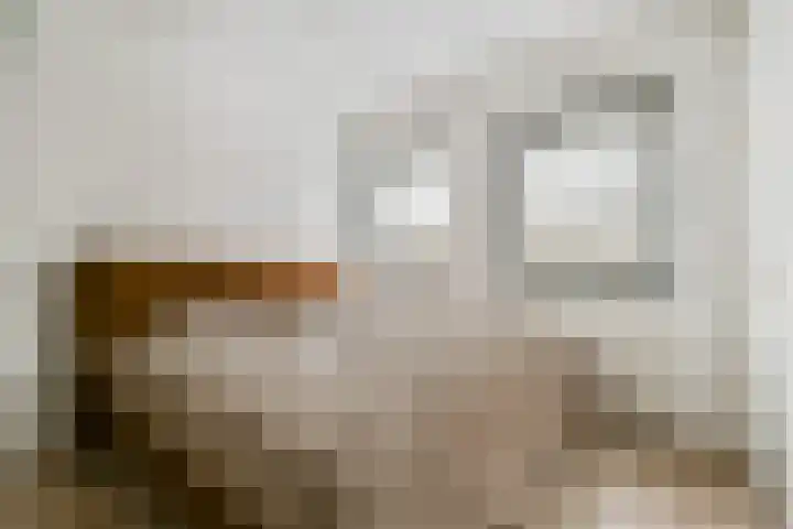 Mikonospad 25 Amsterdam thumbnail 15