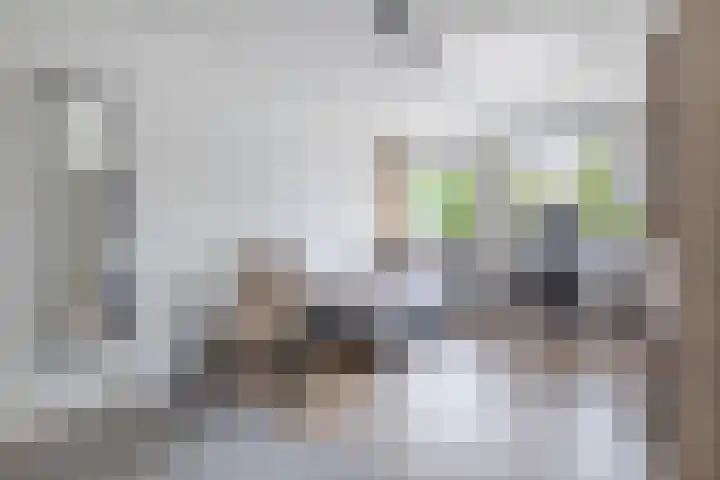 Mikonospad 29 Amsterdam thumbnail 12