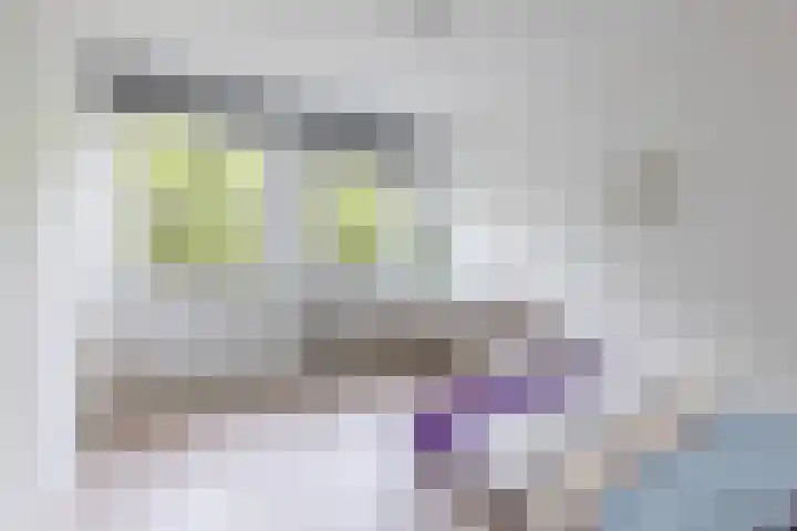 Mikonospad 29 Amsterdam thumbnail 16